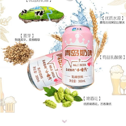 青岛奶啤酒乳酸菌风味牛奶饮料整箱批发发酵乳酸菌网红零食食品